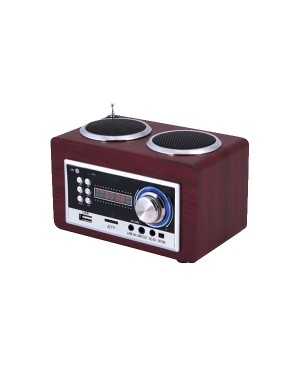 Goldmaster SR-122 USB / Radio Çalar