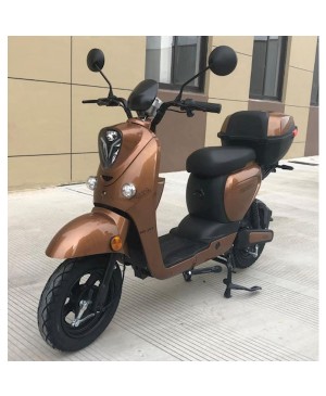 Kral Alya Elektrikli Motorsiklet Kahve