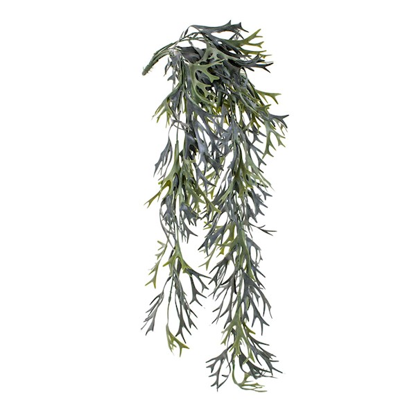 Euro Dekor 44298 Cıtronella Sarmaşık 80 Cm. Euro Dekor 44298 Cıtronella Sarmaşık 80 Cm.