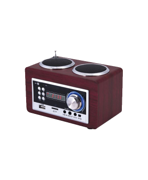 Goldmaster SR-122 USB / Radio Çalar