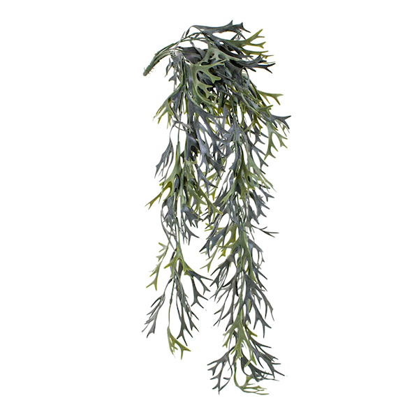Euro Dekor 44298 Cıtronella Sarmaşık 80 Cm. Euro Dekor 44298 Cıtronella Sarmaşık 80 Cm.