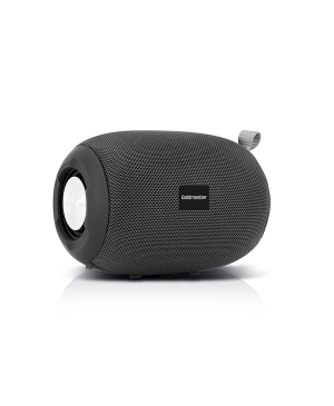 Goldmaster Enjoy-77 Bluetooth Speaker