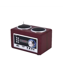 Goldmaster SR-122 USB / Radio Çalar