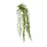 Euro Dekor 44307 Asparagus Sarmaşık 63 Cm. Görseli