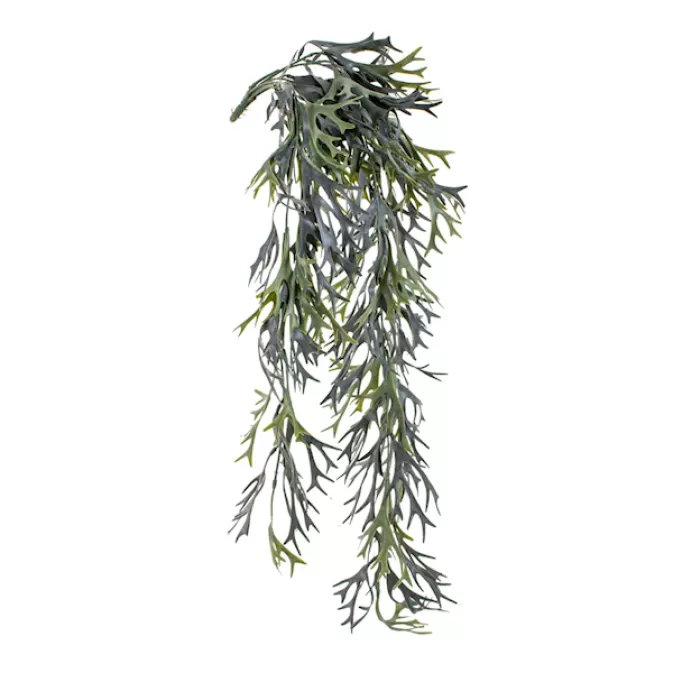 Euro Dekor 44298 Cıtronella Sarmaşık 80 Cm.