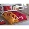 Tac 1000012205 Lis.brf Nv.tk Galatasaray Aslan Logo Görseli