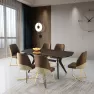 Nc İkon Masa Tk (soprano) İk-1003 (4 Ad. Mr-901 Madrid Sandalye) Görseli