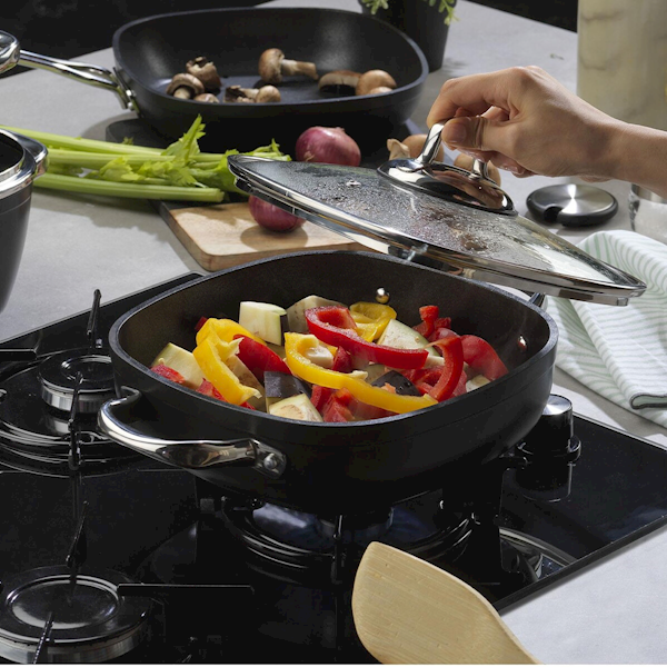 Schafer Gastronomıe Master Granit B.tencere 24cm Görseli