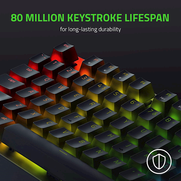 Razer Blackwidow V3 Tenkeyless Green Switch Kablolu Mekanik Oyuncu Klavyesi Görseli