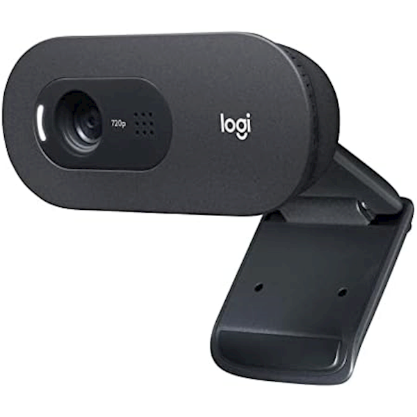 Logitech C505e 960-001372 Mikrofonlu Webcam Görseli