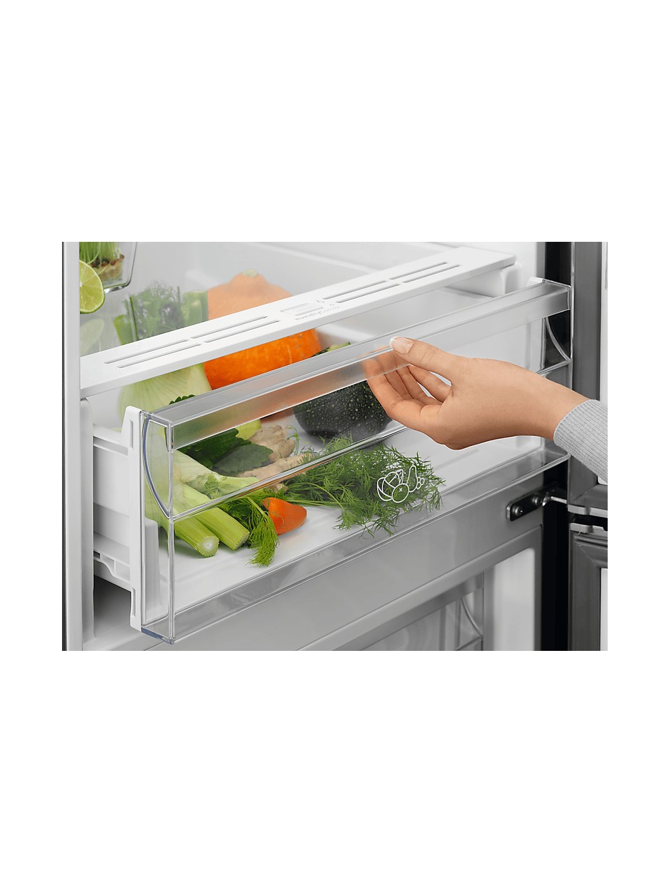 Electrolüx Lnt5me32u1 331 Lt. No Frost Combi Tipi Buzdolabı Görseli