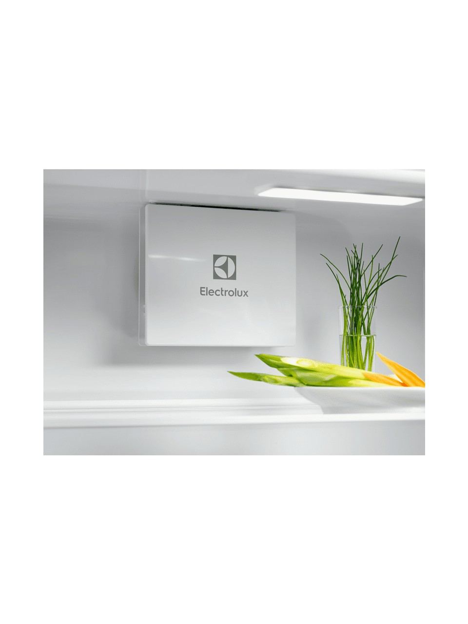 Electrolüx Lnd5fe18s 267 Lt. Anlkastre Buzdolabı Görseli