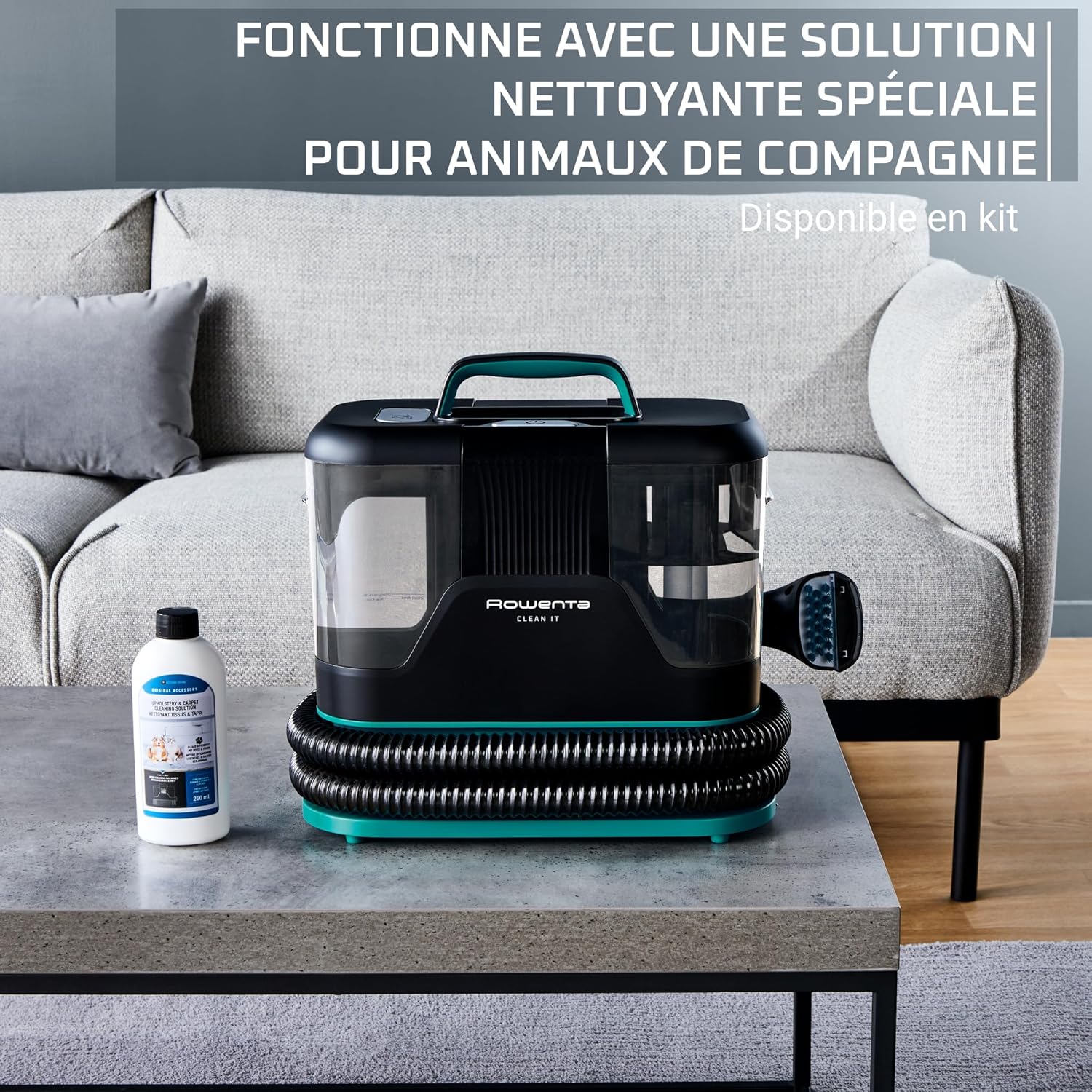 Tefal Clean It Leke Temizleyici - 750 W Görseli